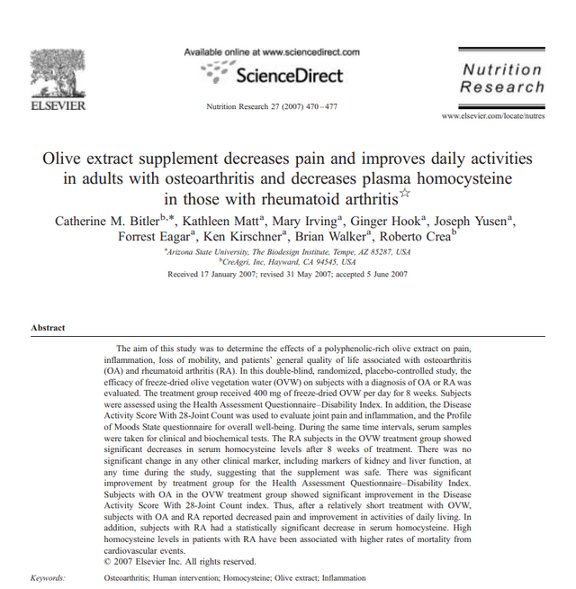Olive extract supplement decreases pain and improves daily activities in adults with osteoarthritis and decreases plasma homocysteine in those with rheumatoid arthritis