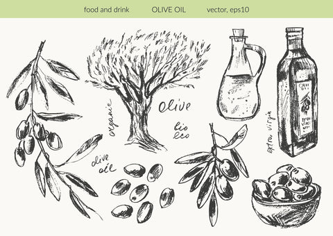 Olive Oil Polyphenols and Gut Health: Prebiotic Effects and the Microbiome