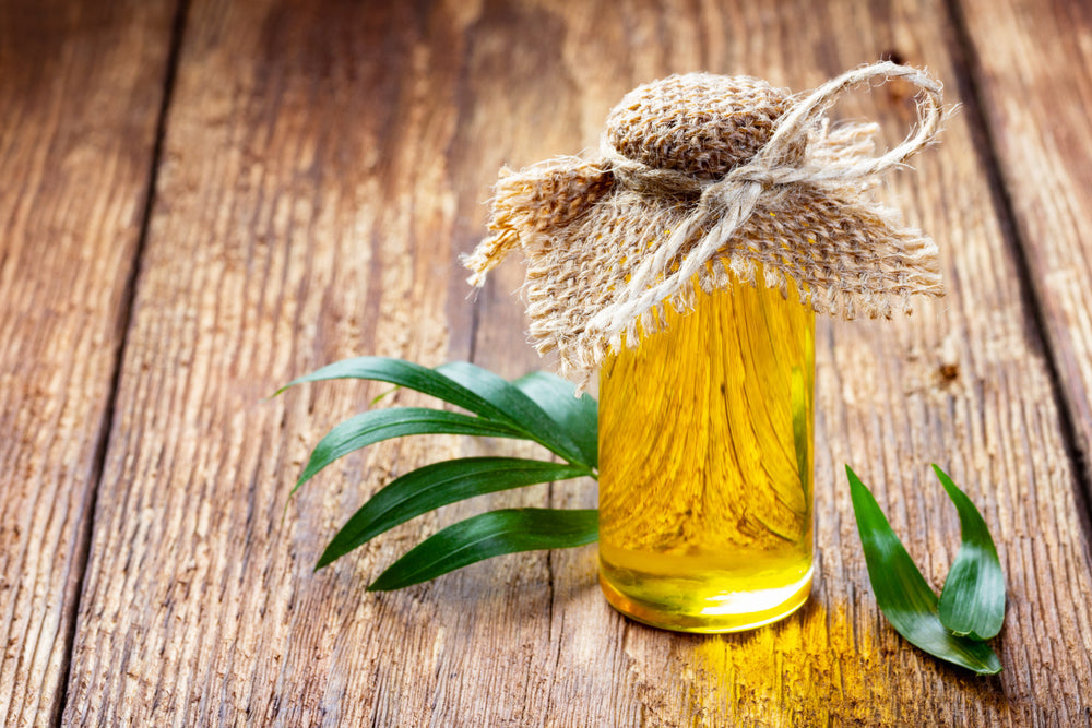 The History of Olive Oil in Greece: From Ancient Times to Today