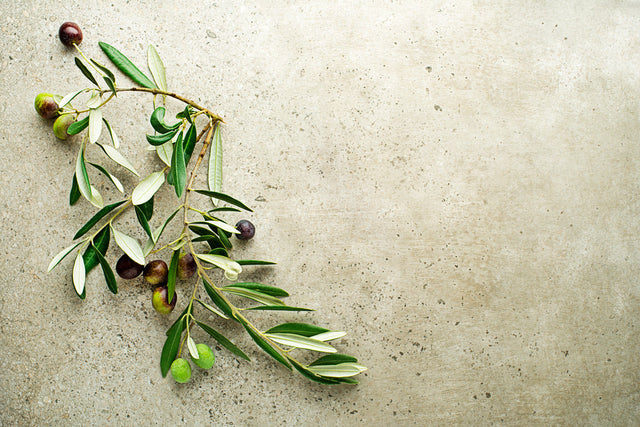 How Climate Change Is Affecting Olive Groves — Why Traceability Matters