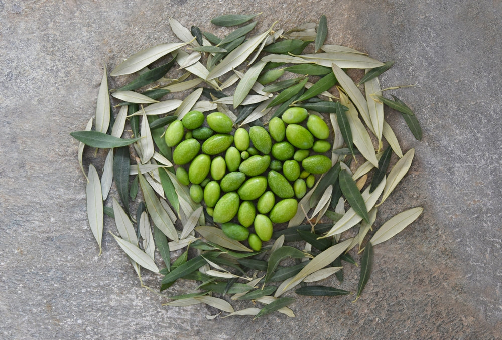 Olive Oil for Heart Health: What Science Says
