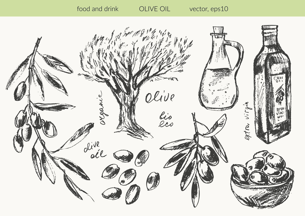 Olive Oil Polyphenols and Gut Health: Prebiotic Effects and the Microbiome